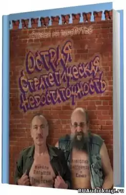 Вассерман Анатолий, Латыпов Нурали - Острая стратегическая недостаточность. Страна на перепутье