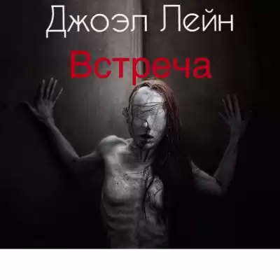 Лэйн Джоэл - Встреча
