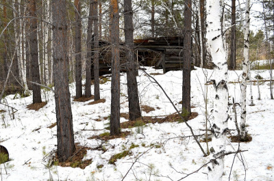 Мертвосвет Шульгин - Янкылма