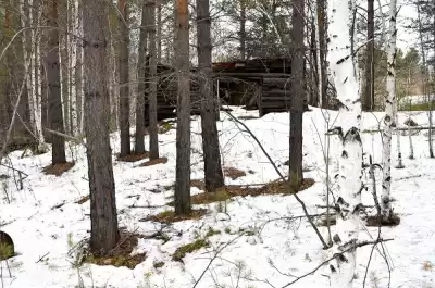 Мертвосвет Шульгин - Янкылма