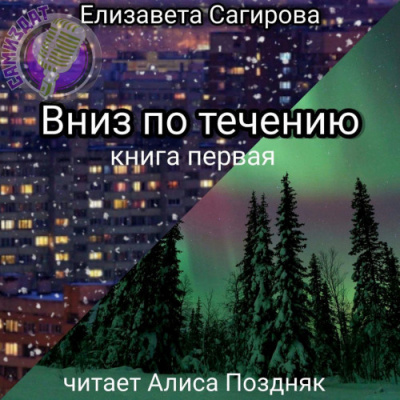 Сагирова Елизавета - Вниз по течению. Книга 1