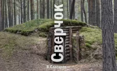 Слесарев Вячеслав - Сверчок