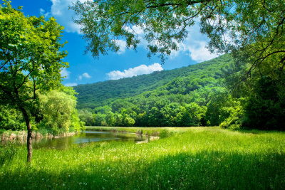 Юрий Муляр - Биомасса