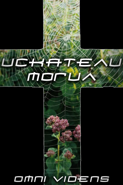 Videns Omni – Искатели могил