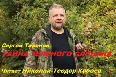 Тихонов Сергей - Тайна Зелёного слоника